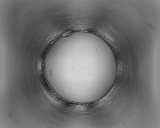 X0000111850166200908061322