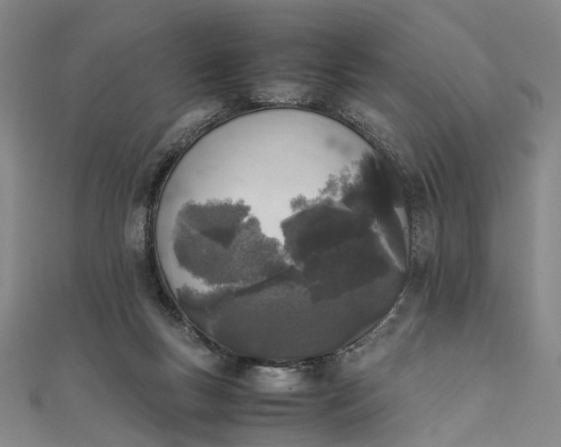 X0000111850167200908061322