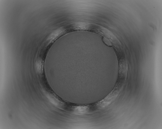 X0000111850168200908061322