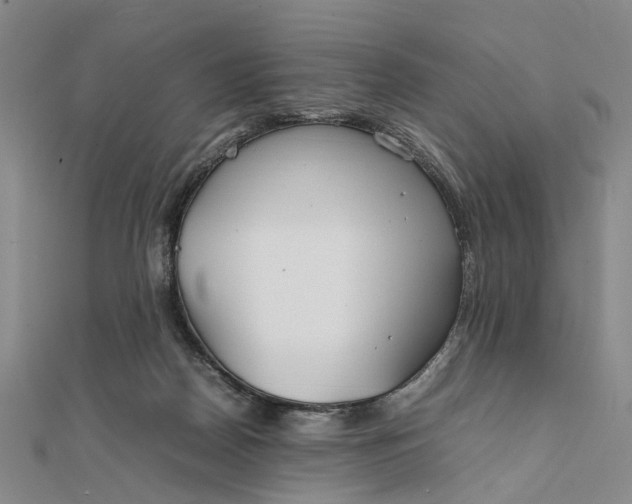 X0000111850170200908061322