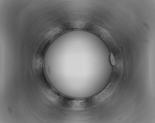 X0000111850172200908061322