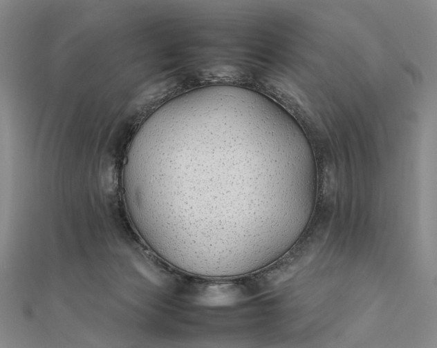 X0000111850173200908061322