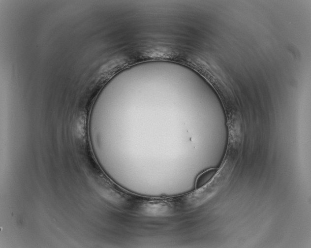 X0000111850175200908061322