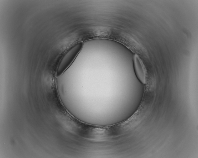 X0000111850176200908061322