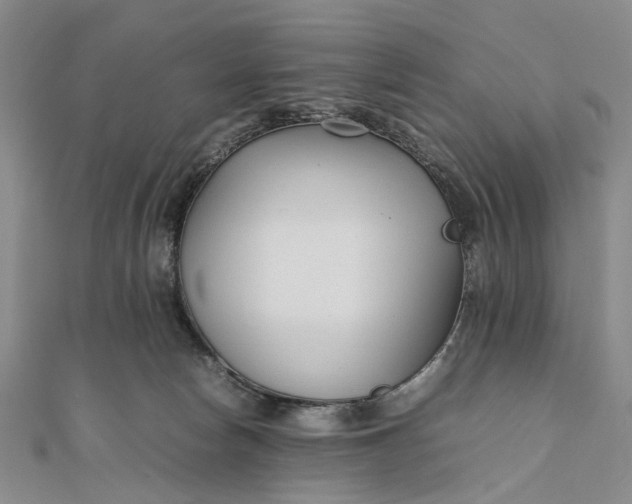 X0000111850178200908061322