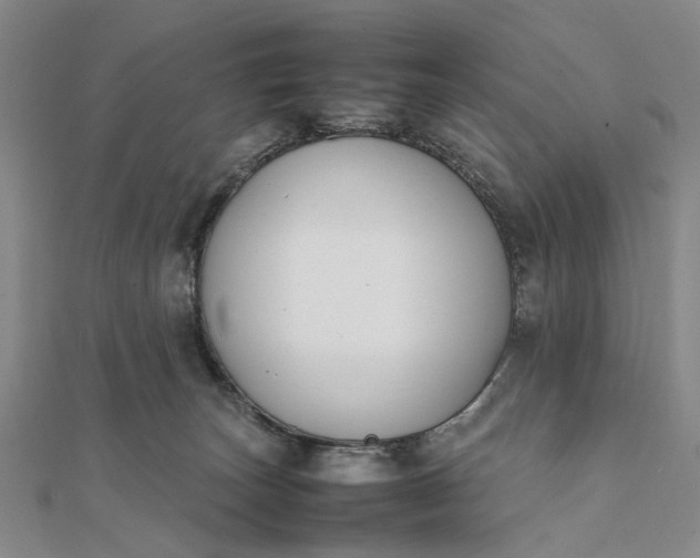 X0000111850179200908061322