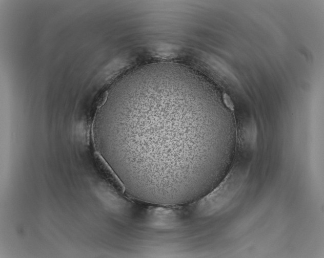 X0000111850180200908061322