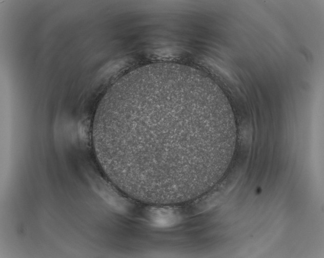 X0000111850181200908061322