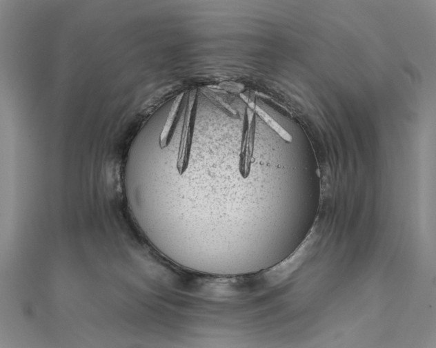 X0000111850182200908061322