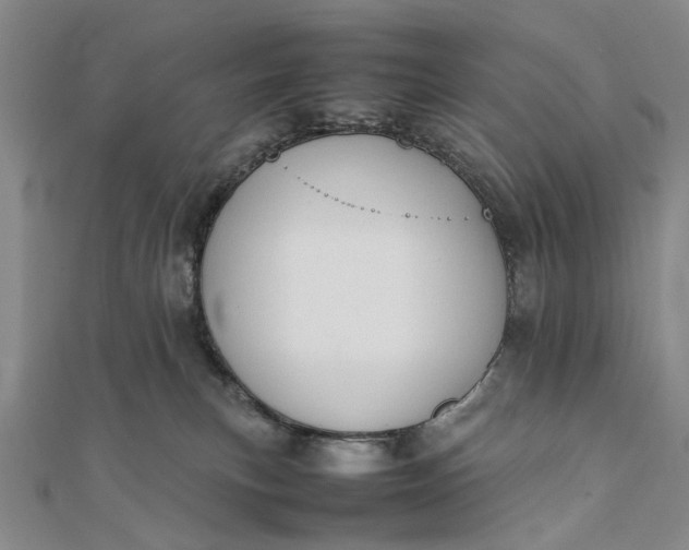 X0000111850183200908061322