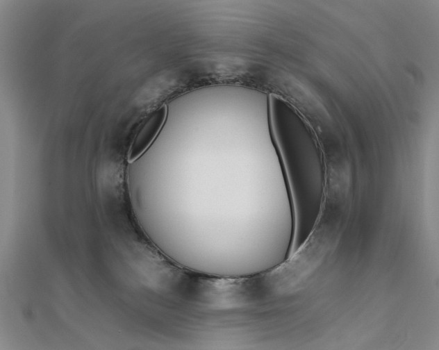 X0000111850184200908061322