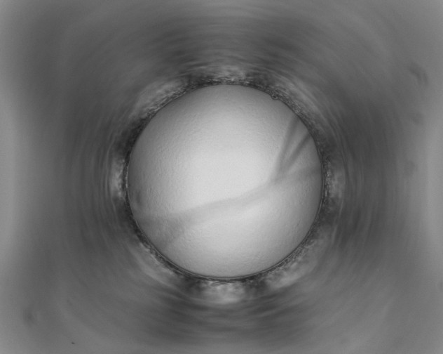 X0000111850185200908061322