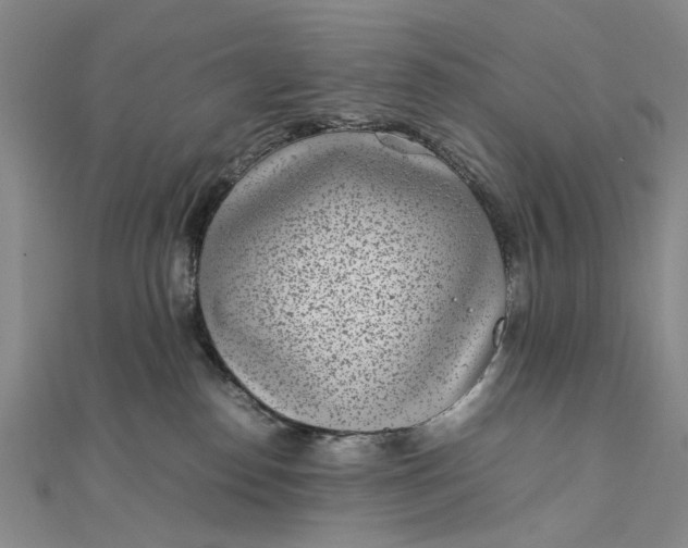 X0000111850186200908061322