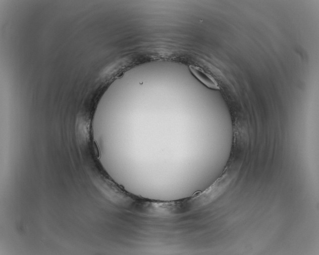 X0000111850188200908061322