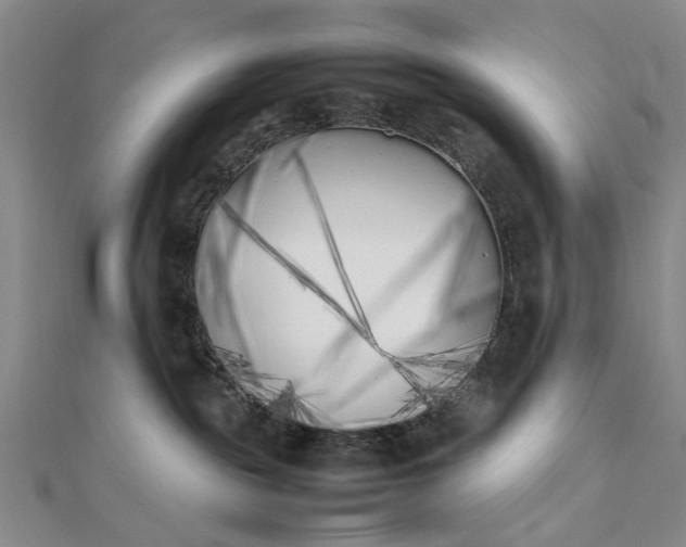 X0000111850189200908061322