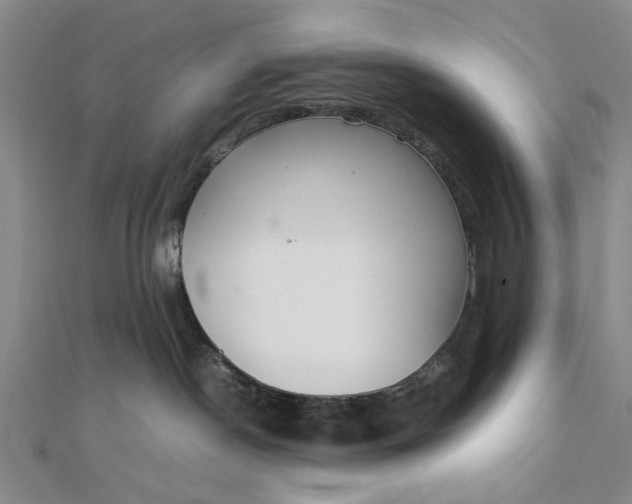 X0000111850190200908061322