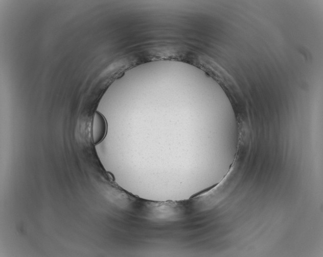 X0000111850191200908061322