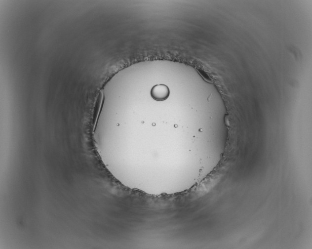 X0000111850192200908061322