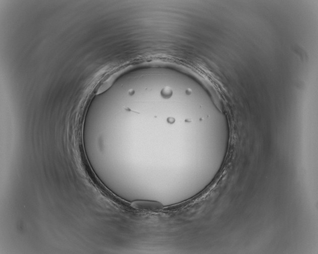 X0000111850193200908061322