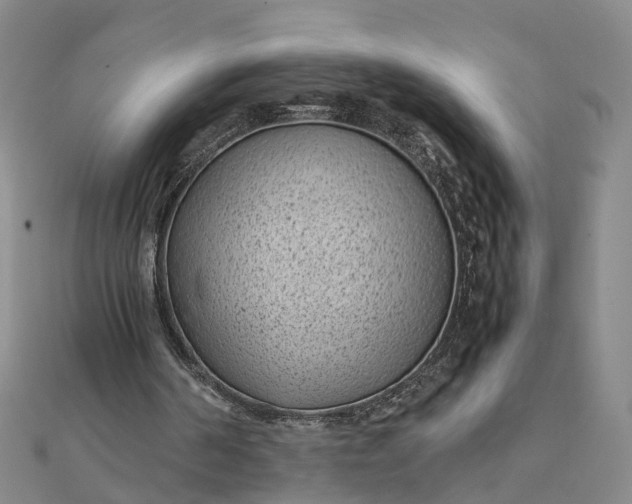 X0000111850194200908061322