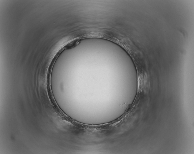 X0000111850195200908061322