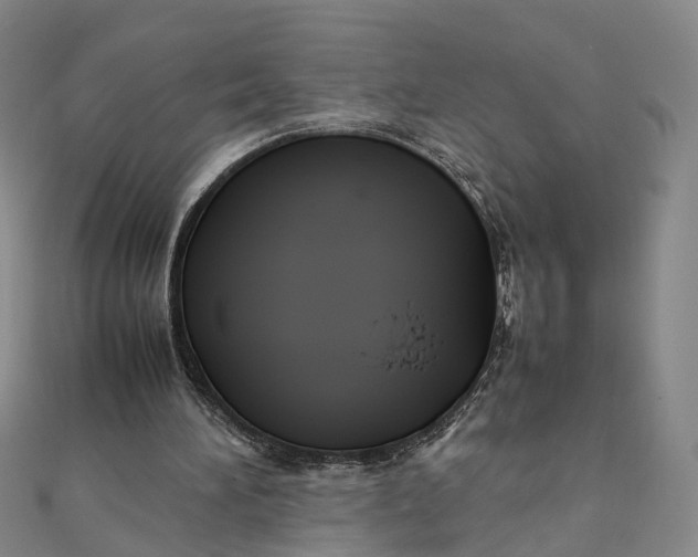 X0000111850196200908061321