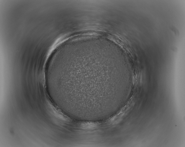 X0000111850198200908061321