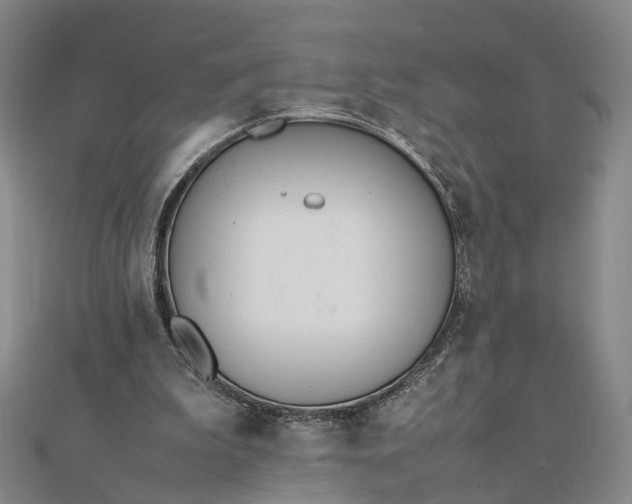 X0000111850199200908061321