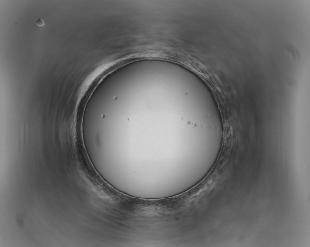 X0000111850200200908061321