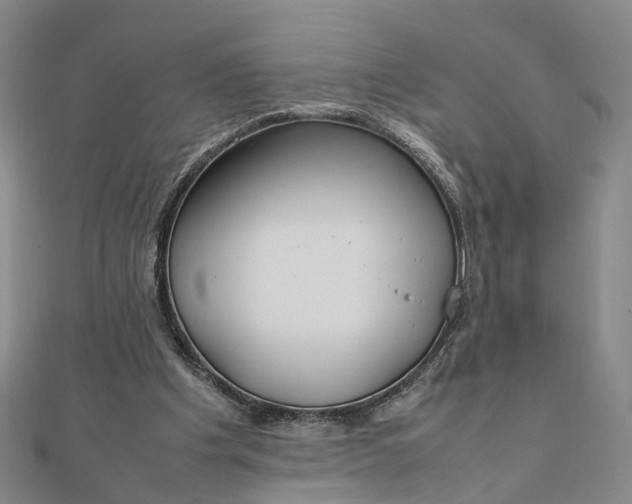 X0000111850201200908061321