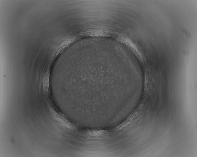 X0000111850202200908061321