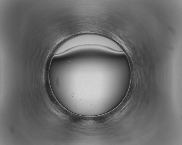 X0000111850203200908061321