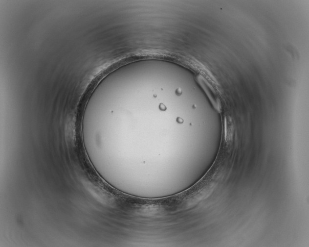 X0000111850204200908061321