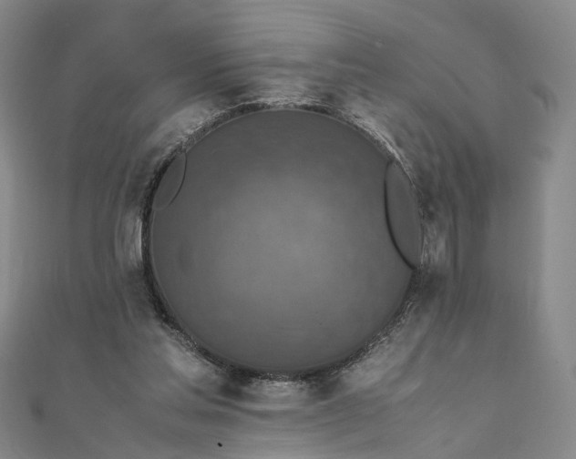 X0000111850205200908061321