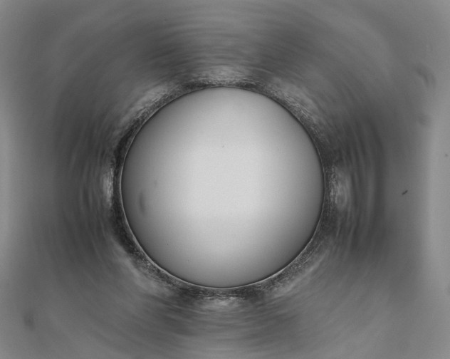 X0000111850206200908061321