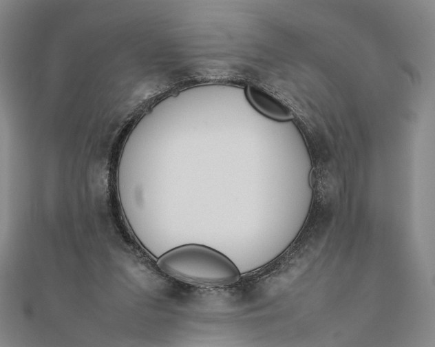 X0000111850207200908061321