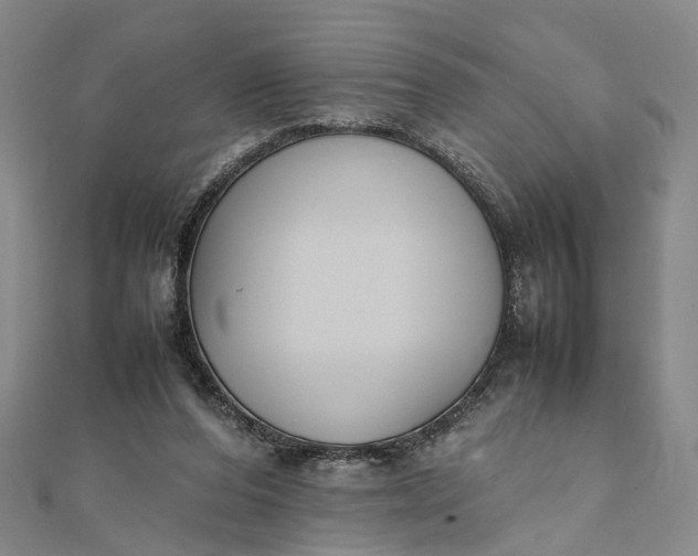 X0000111850208200908061321