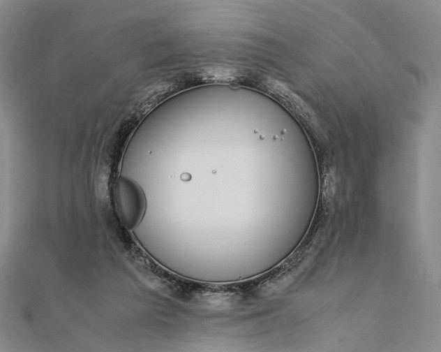 X0000111850209200908061321