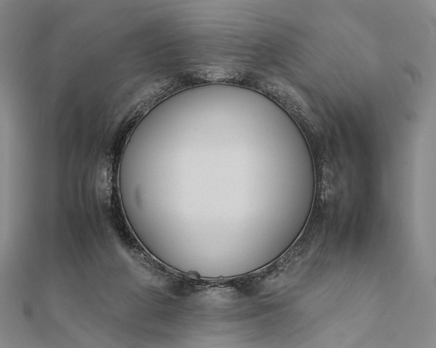 X0000111850210200908061321