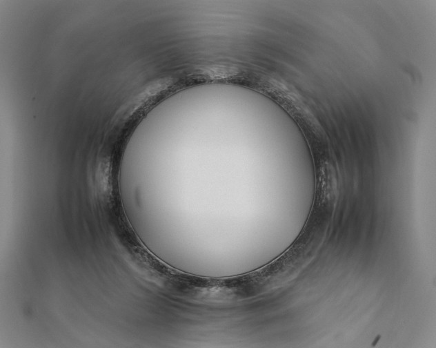 X0000111850212200908061321