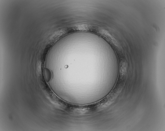 X0000111850213200908061321