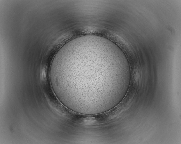 X0000111850214200908061321