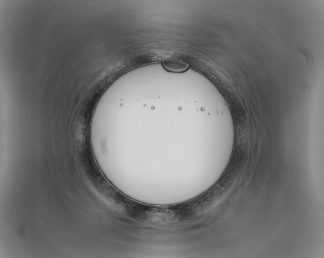 X0000111850215200908061321