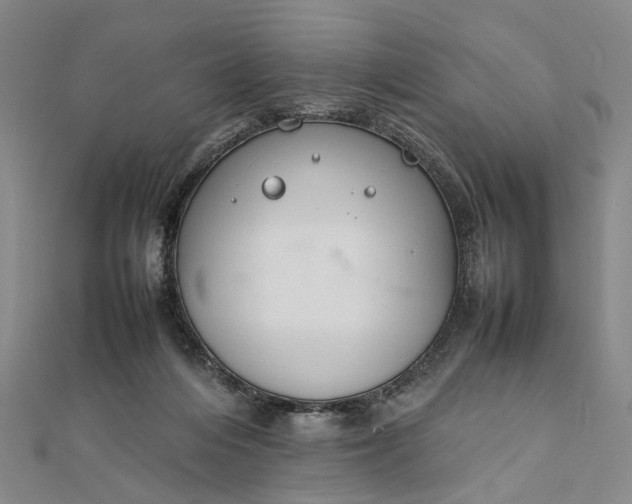 X0000111850216200908061321