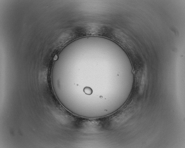 X0000111850217200908061321