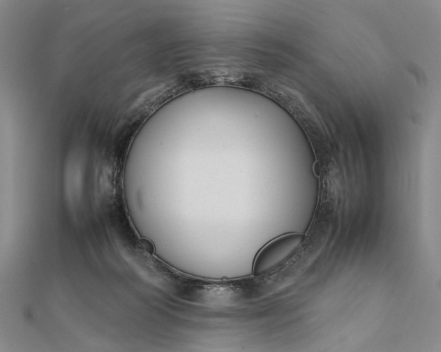 X0000111850218200908061321