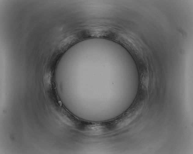 X0000111850219200908061321