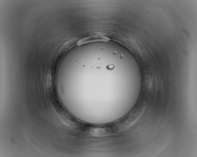 X0000111850220200908061321