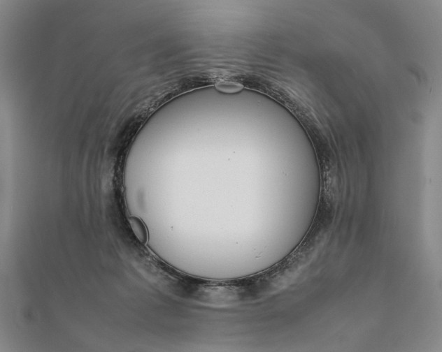 X0000111850221200908061321