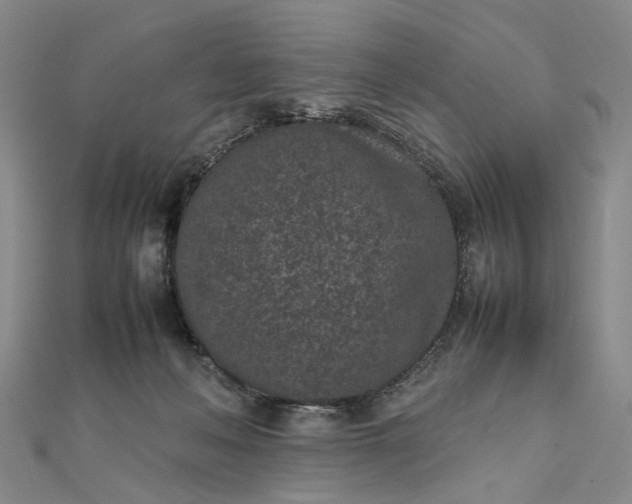 X0000111850222200908061321